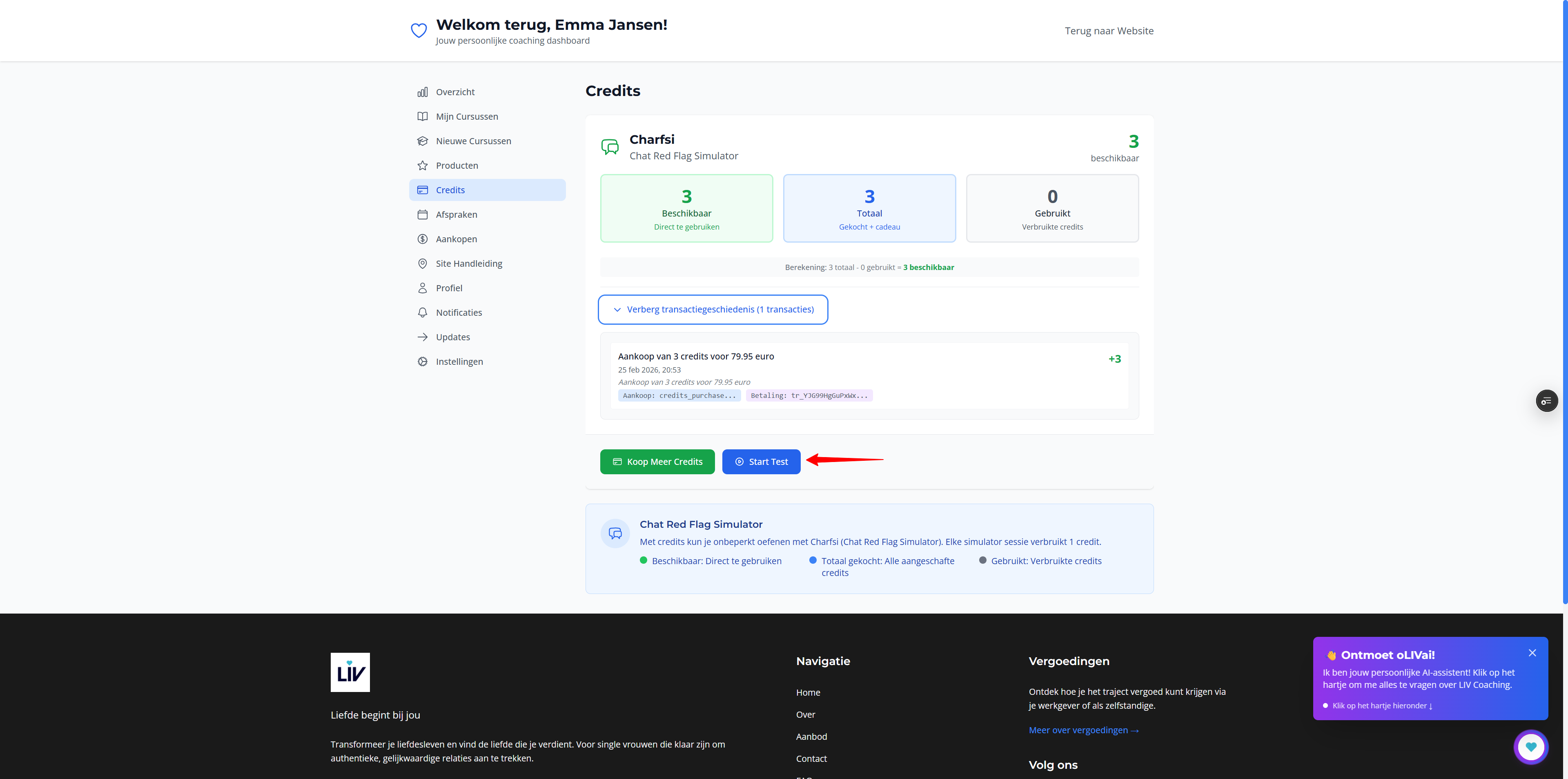 Stap 2: Credits kopen – Betaling voltooien: Screenshot: betalen