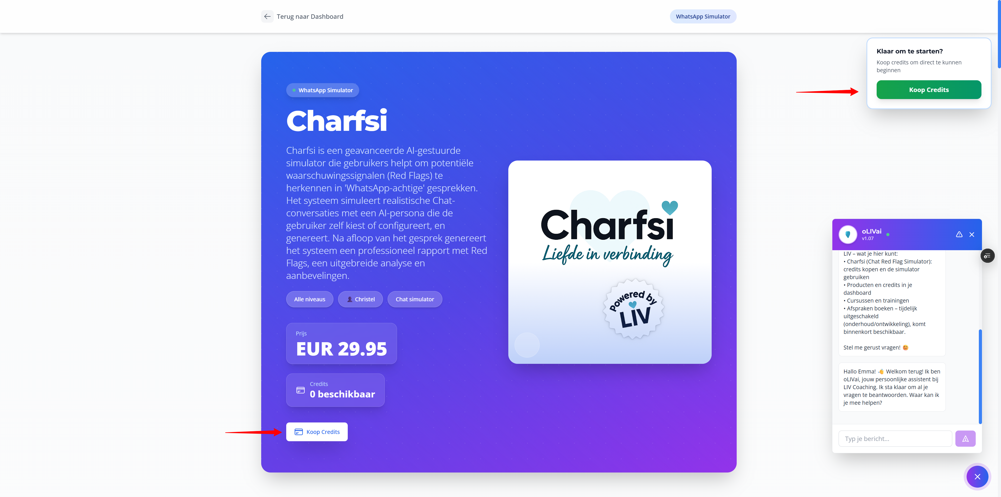 Stap 2: Credits kopen – Pakket selecteren: Screenshot: credits-pakketten