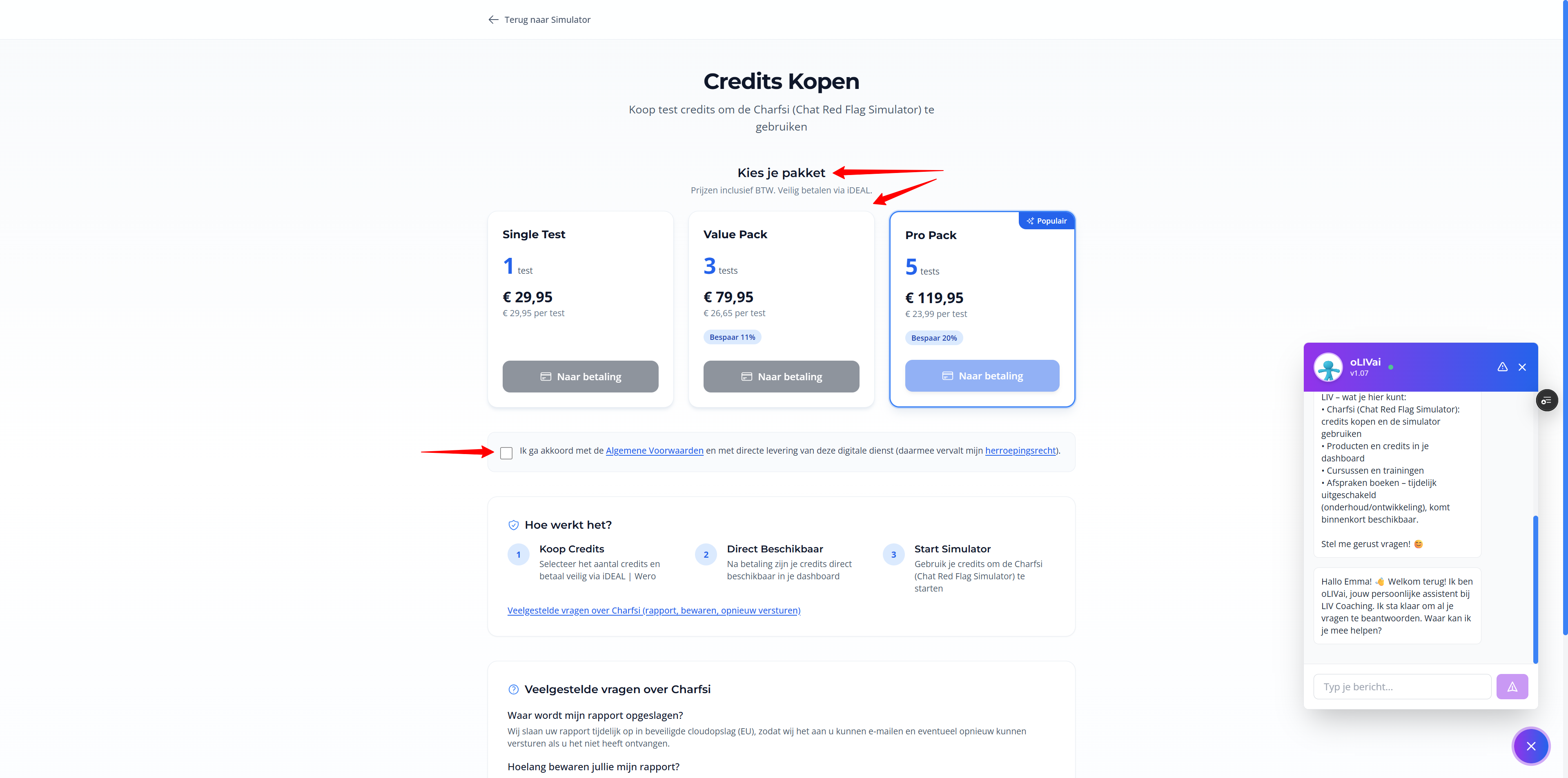 Stap 2: Credits kopen – Checkout: Screenshot: betalen